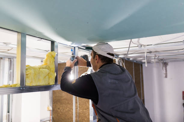 Best Insulation Maintenance and Repair in Hillsborough, CA