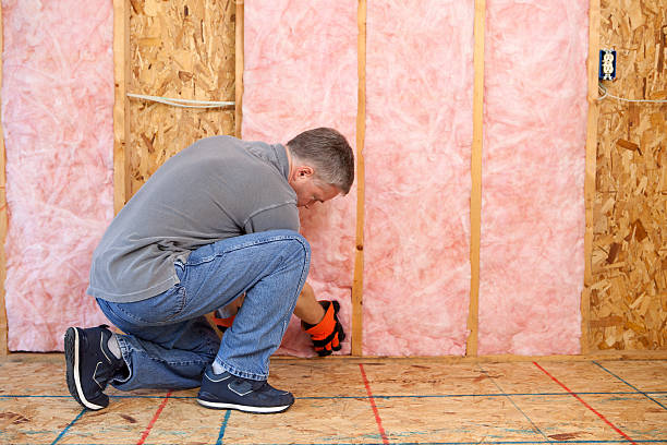 Best Geographic-Specific Insulation Services in Hillsborough, CA